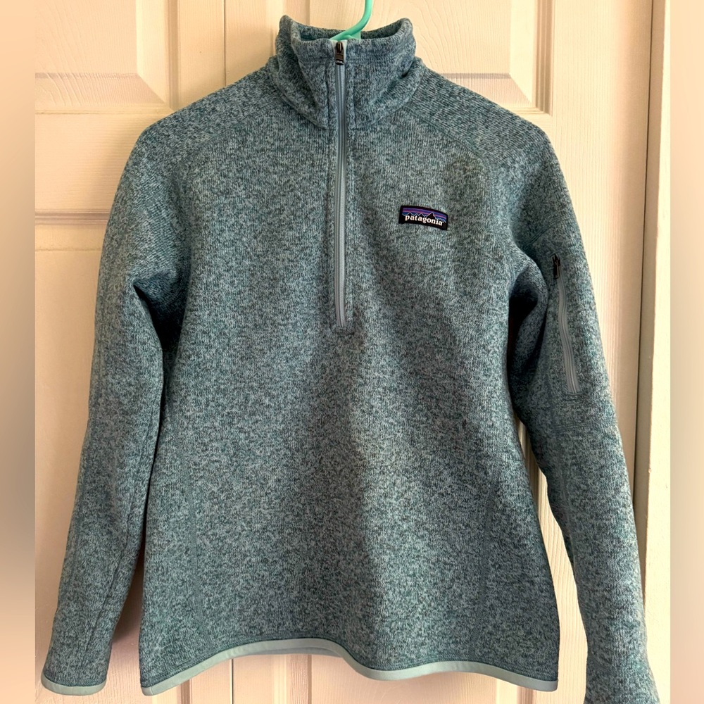 Patagonia Blue-Gray Fleece Jacket
